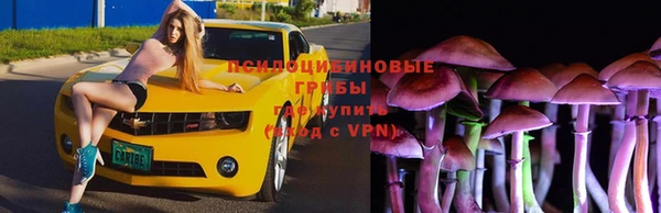 спиды Майский